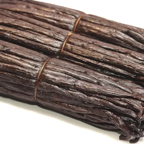 81kdKvYsSqL._AC_UF1000,1000_QL80_FMwebp_ 81kdKvYsSqL._AC_UF1000,1000_QL80_FMwebp_