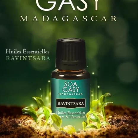 huile-essentielle-ravintsara huile essentielle ravintsara soa gasy Maroc