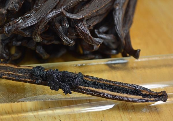 665ae937494735b359ea7339669cdc05 665ae937494735b359ea7339669cdc05