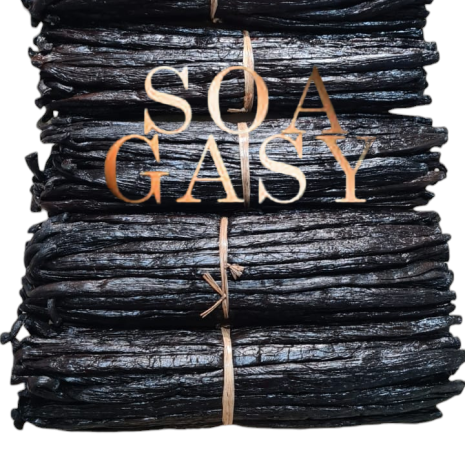 Photoroom-20240909_182555 Photoroom-20240909_182555